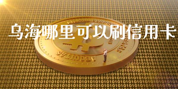 乌海哪里可以刷信用卡_https://wap.lcjysmgs.com_债券基金_第1张