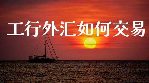工行外汇如何交易_https://wap.lcjysmgs.com_原油期货_第1张