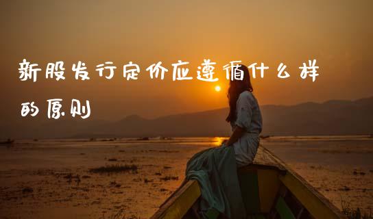 新股发行定价应遵循什么样的原则_https://wap.lcjysmgs.com_金融交易_第1张