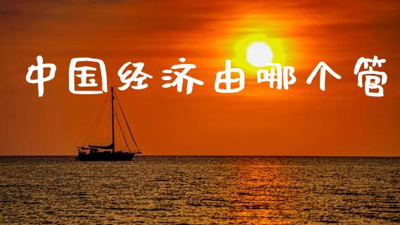中国经济由哪个管_https://wap.lcjysmgs.com_元宇宙_第1张