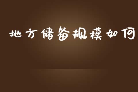 地方储备规模如何_https://wap.lcjysmgs.com_债券基金_第1张
