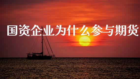 国资企业为什么参与期货_https://wap.lcjysmgs.com_债券基金_第1张