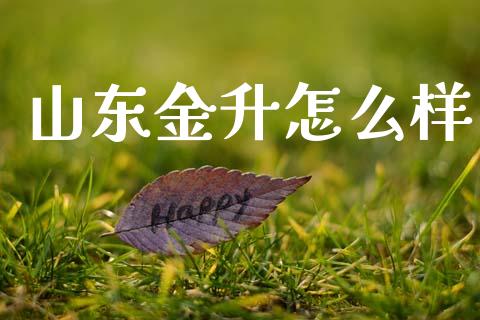山东金升怎么样_https://wap.lcjysmgs.com_债券基金_第1张