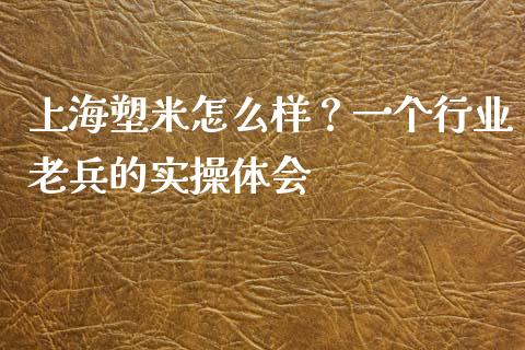 上海塑米怎么样？一个行业老兵的实操体会_https://wap.lcjysmgs.com_元宇宙_第1张