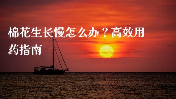 棉花生长慢怎么办？高效用药指南_https://wap.lcjysmgs.com_债券基金_第1张