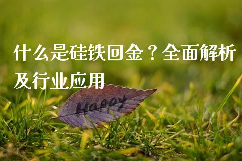 什么是硅铁回金？全面解析及行业应用_https://wap.lcjysmgs.com_元宇宙_第1张