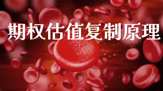期权估值复制原理_https://wap.lcjysmgs.com_元宇宙_第1张