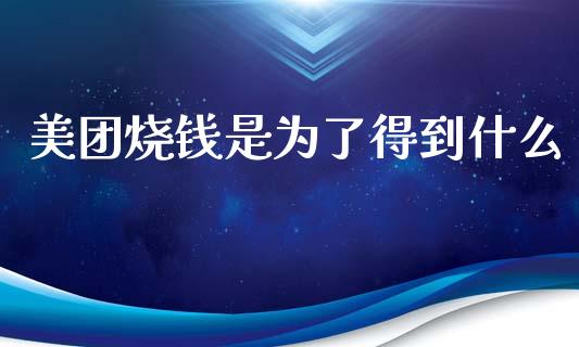 美团烧钱是为了得到什么_https://wap.lcjysmgs.com_债券基金_第1张