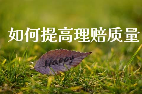 如何提高理赔质量_https://wap.lcjysmgs.com_元宇宙_第1张