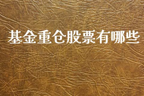 基金重仓股票有哪些_https://wap.lcjysmgs.com_原油期货_第1张