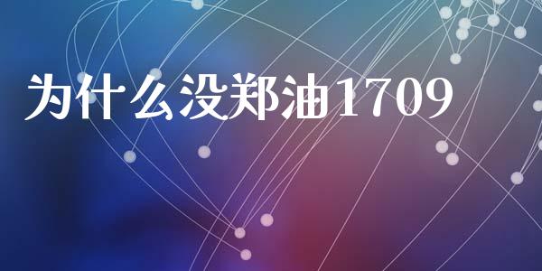 为什么没郑油1709_https://wap.lcjysmgs.com_金融交易_第1张