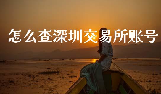 怎么查深圳交易所账号_https://wap.lcjysmgs.com_元宇宙_第1张
