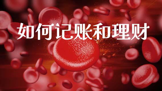 如何记账和理财_https://wap.lcjysmgs.com_元宇宙_第1张