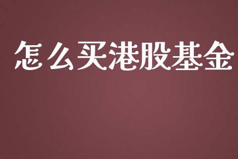 怎么买港股基金_https://wap.lcjysmgs.com_原油期货_第1张