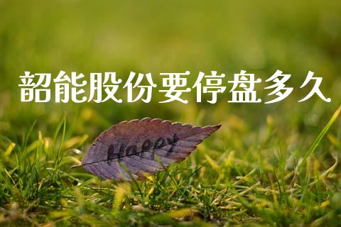 韶能股份要停盘多久_https://wap.lcjysmgs.com_债券基金_第1张