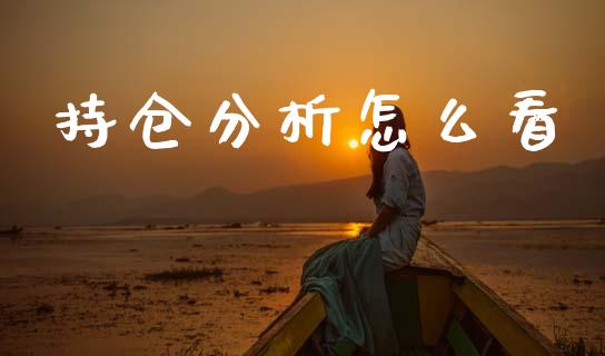 持仓分析怎么看_https://wap.lcjysmgs.com_债券基金_第1张