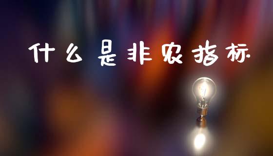 什么是非农指标_https://wap.lcjysmgs.com_债券基金_第1张