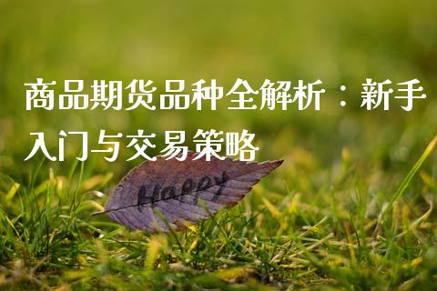 商品期货品种全解析：新手入门与交易策略_https://wap.lcjysmgs.com_债券基金_第1张