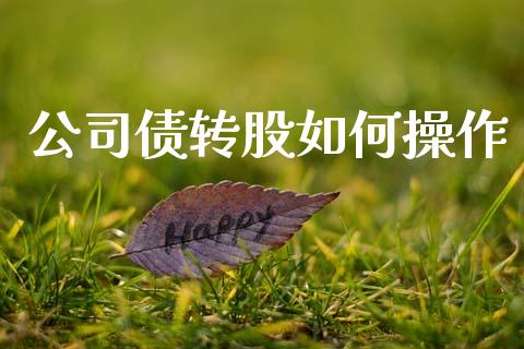 公司债转股如何操作_https://wap.lcjysmgs.com_金融交易_第1张