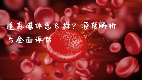 道森媒体怎么样？深度解析与全面评估_https://wap.lcjysmgs.com_债券基金_第1张