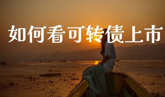 如何看可转债上市_https://wap.lcjysmgs.com_元宇宙_第1张