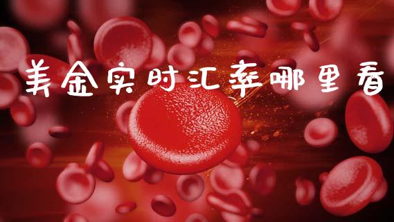 美金实时汇率哪里看_https://wap.lcjysmgs.com_金融交易_第1张