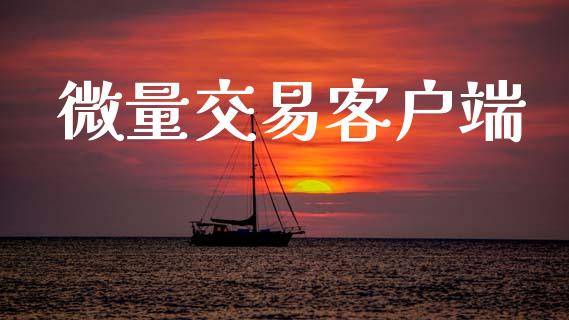 微量交易客户端_https://wap.lcjysmgs.com_金融交易_第1张