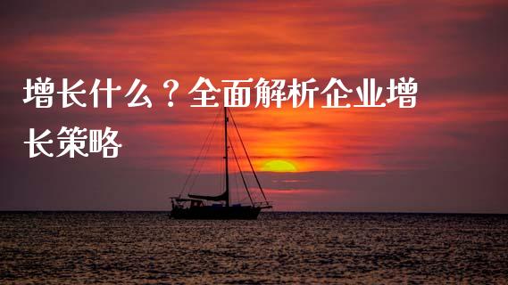 增长什么？全面解析企业增长策略_https://wap.lcjysmgs.com_金融交易_第1张