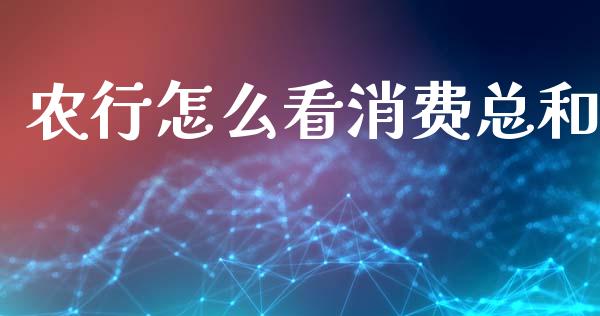 农行怎么看消费总和_https://wap.lcjysmgs.com_债券基金_第1张