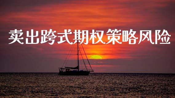 卖出跨式期权策略风险_https://wap.lcjysmgs.com_债券基金_第1张