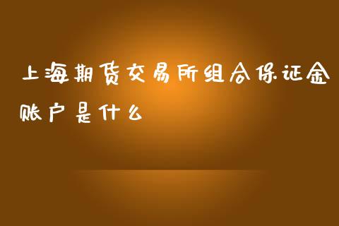 上海期货交易所组合保证金账户是什么_https://wap.lcjysmgs.com_元宇宙_第1张