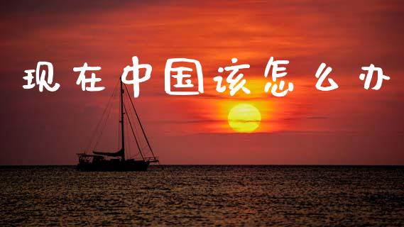现在中国该怎么办_https://wap.lcjysmgs.com_元宇宙_第1张