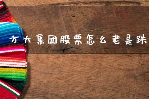 方大集团股票怎么老是跌_https://wap.lcjysmgs.com_金融交易_第1张