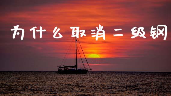 为什么取消二级钢_https://wap.lcjysmgs.com_原油期货_第1张