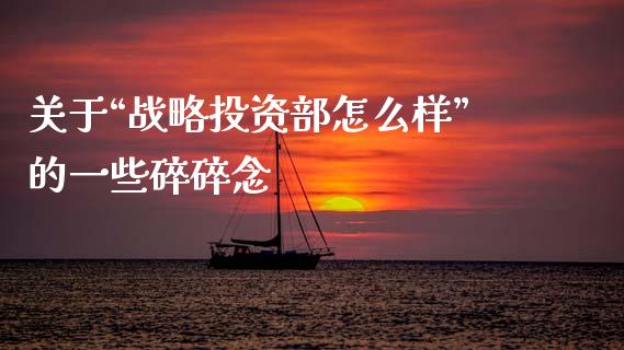 关于“战略投资部怎么样”的一些碎碎念_https://wap.lcjysmgs.com_债券基金_第1张