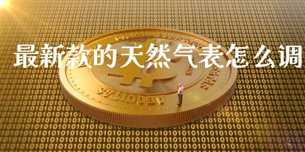 最新款的天然气表怎么调_https://wap.lcjysmgs.com_原油期货_第1张