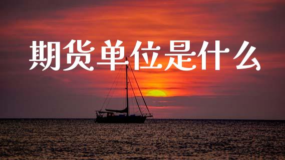 期货单位是什么_https://wap.lcjysmgs.com_债券基金_第1张