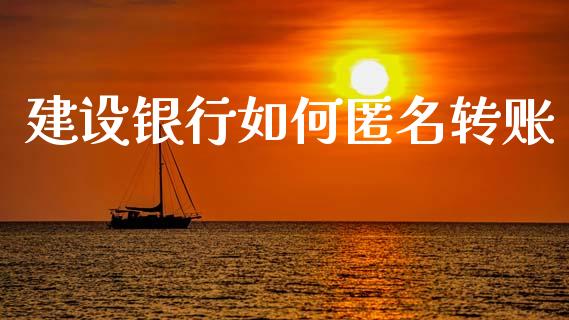 建设银行如何匿名转账_https://wap.lcjysmgs.com_原油期货_第1张