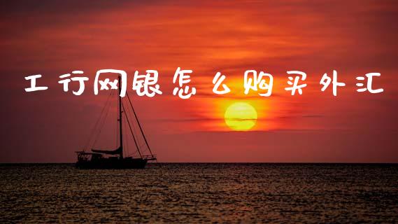 工行网银怎么购买外汇_https://wap.lcjysmgs.com_金融交易_第1张
