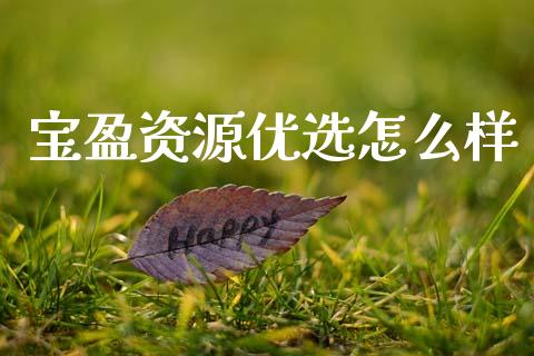 宝盈资源优选怎么样_https://wap.lcjysmgs.com_金融交易_第1张