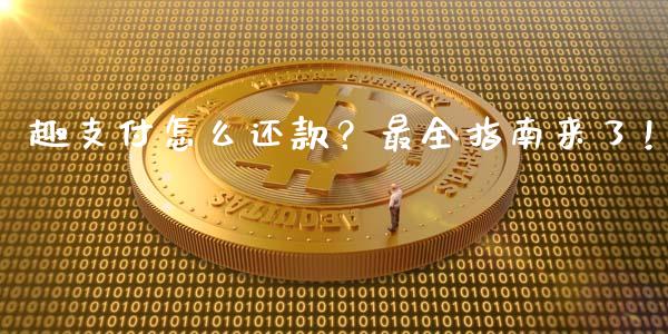 趣支付怎么还款？最全指南来了！_https://wap.lcjysmgs.com_金融交易_第1张