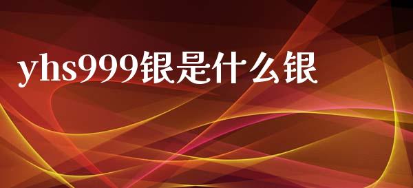 yhs999银是什么银_https://wap.lcjysmgs.com_金融交易_第1张