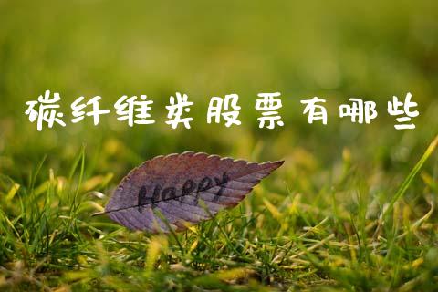 碳纤维类股票有哪些_https://wap.lcjysmgs.com_元宇宙_第1张