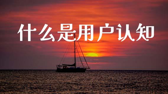 什么是用户认知_https://wap.lcjysmgs.com_债券基金_第1张