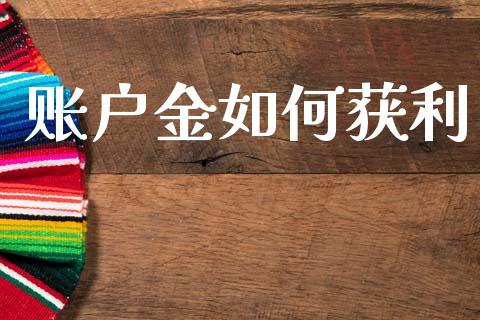 账户金如何获利_https://wap.lcjysmgs.com_债券基金_第1张