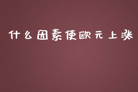 什么因素使欧元上涨_https://wap.lcjysmgs.com_元宇宙_第1张