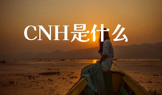 CNH是什么_https://wap.lcjysmgs.com_债券基金_第1张