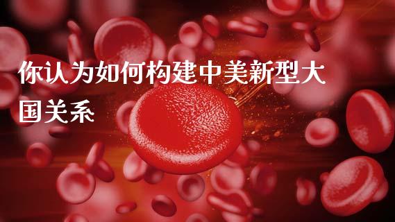 你认为如何构建中美新型大国关系_https://wap.lcjysmgs.com_金融交易_第1张
