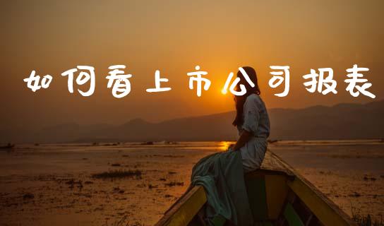 如何看上市公司报表_元宇宙_第1张_金融交易_元宇宙_原油期货_债券基金 如何看上市公司报表_https://wap.lcjysmgs.com_元宇宙_第1张