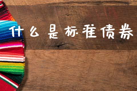 什么是标准债券_https://wap.lcjysmgs.com_债券基金_第1张